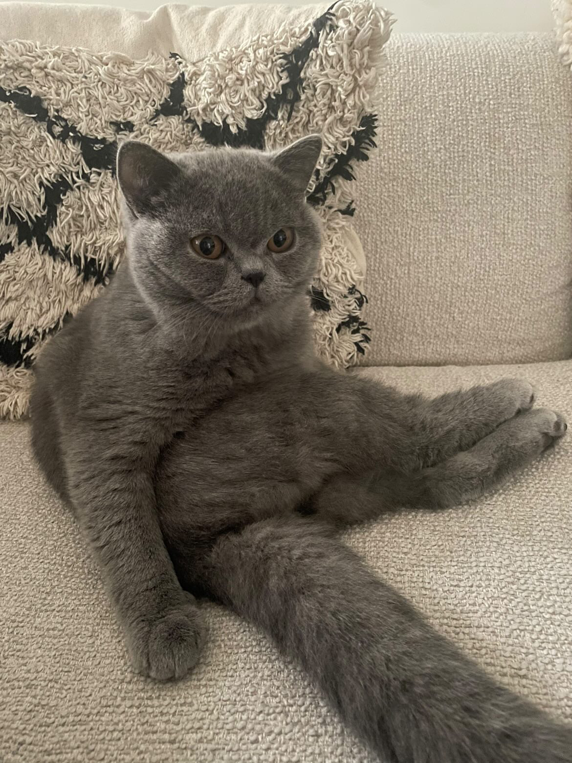 Excellente photo d'Anakin